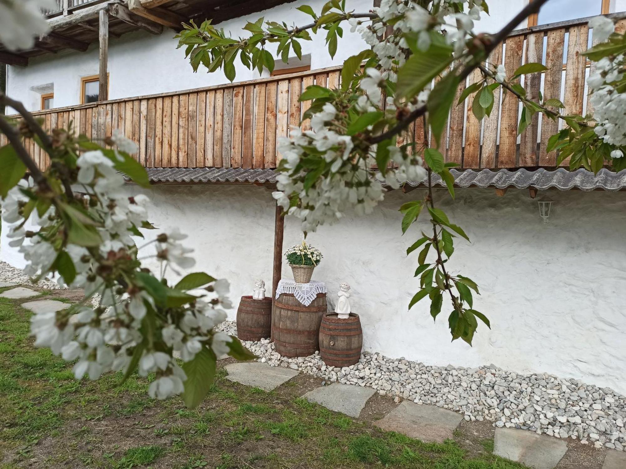 Ferienwohnung Natur Deluxe Riesen Sankt Lorenzen Exterior foto