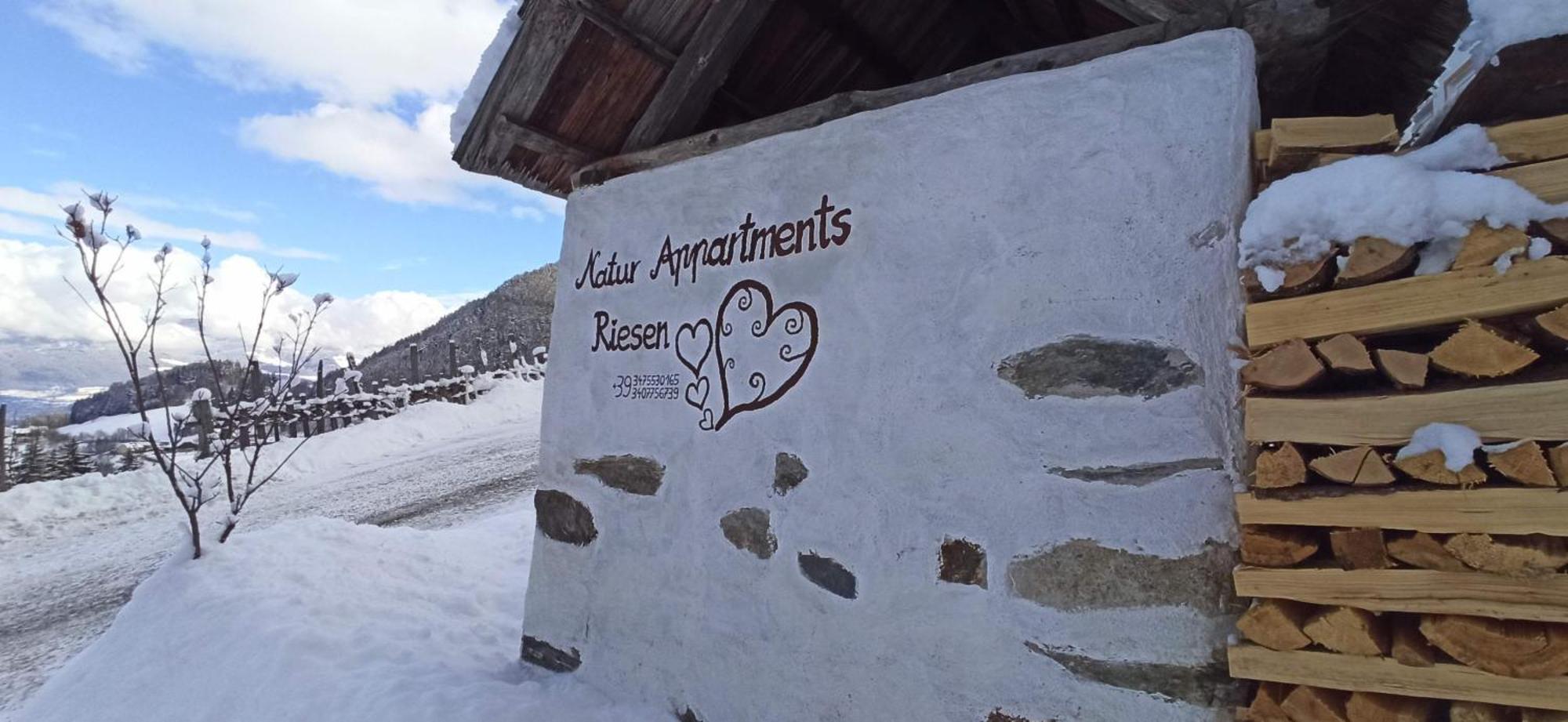 Ferienwohnung Natur Deluxe Riesen Sankt Lorenzen Exterior foto