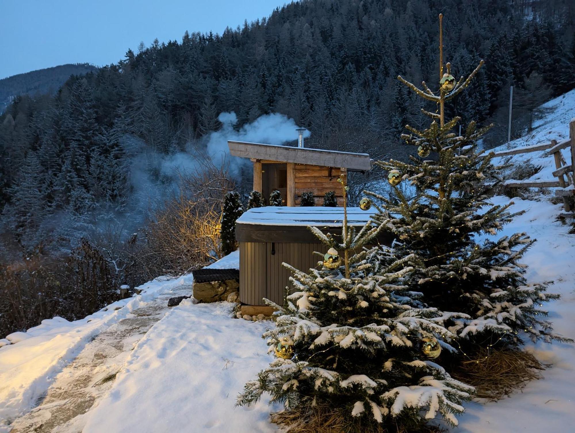 Ferienwohnung Natur Deluxe Riesen Sankt Lorenzen Exterior foto