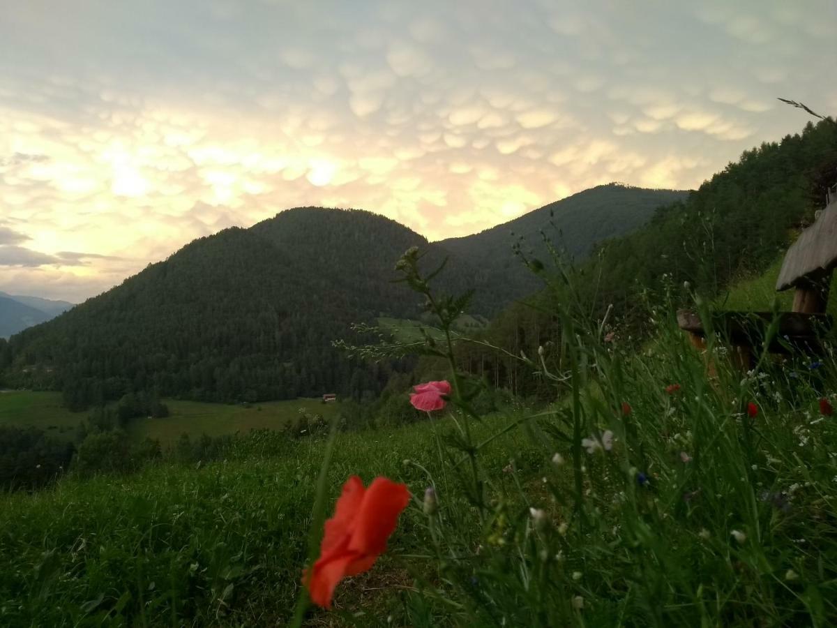 Ferienwohnung Natur Deluxe Riesen Sankt Lorenzen Exterior foto